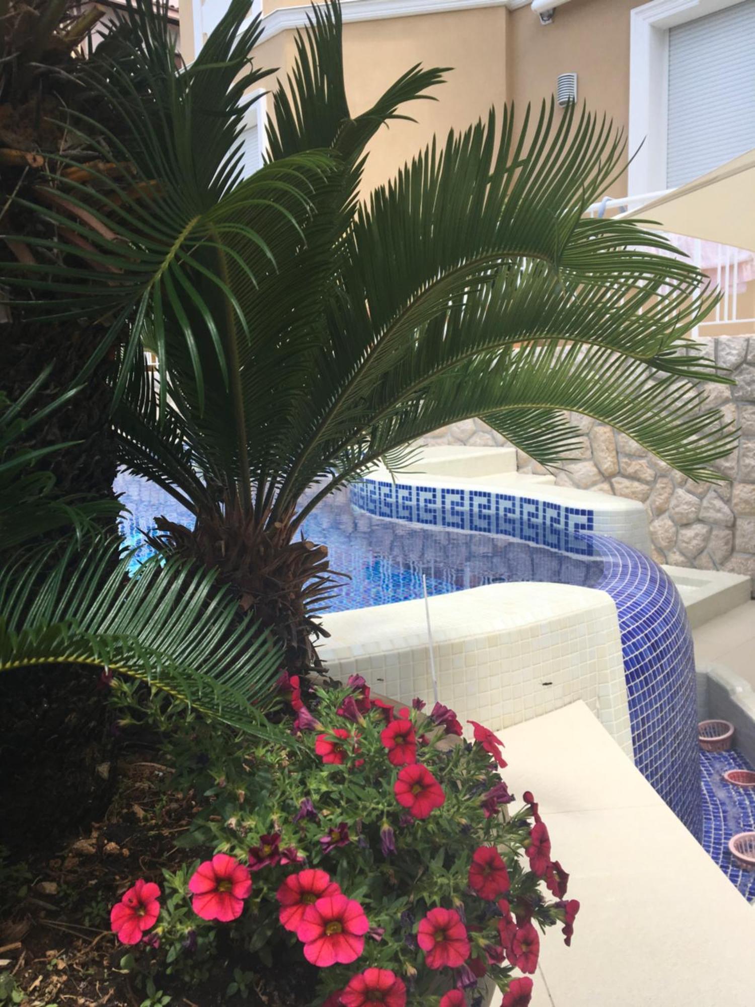 تْسْغيكفانِتْسا Guest House Villa Dagmar - Exclusive المظهر الخارجي الصورة